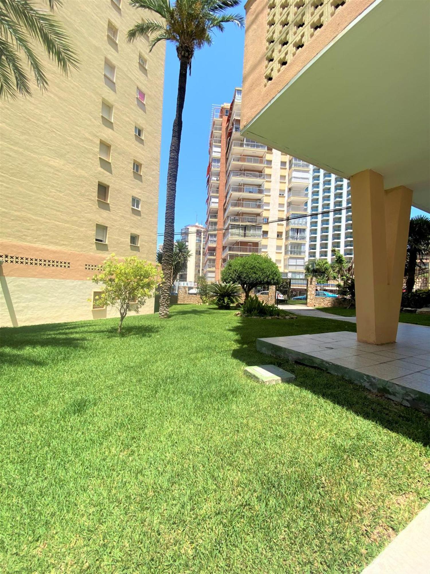 Carabelas Apartments Benidorm Eksteriør bilde