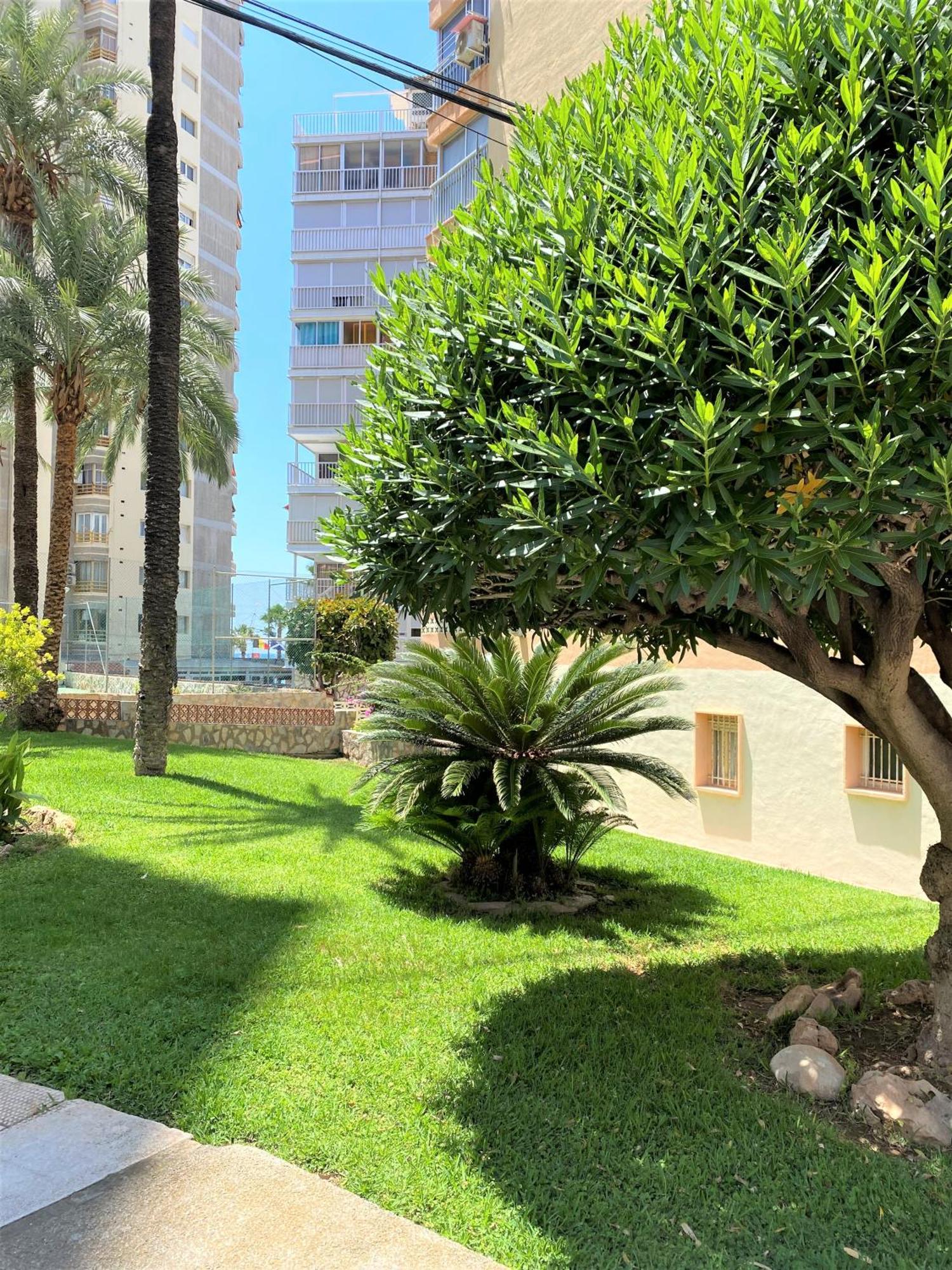 Carabelas Apartments Benidorm Eksteriør bilde